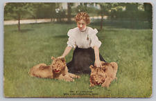 Postcard New York City NY Zoological Park Musk Two Lion Cubs with Girl Unposted picture