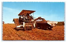 Postcard Potato Harvester at Aroostook County, Maine 1960's T37 picture