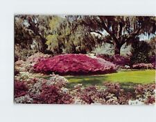 Postcard Scene of Azalea Gardens Along the 