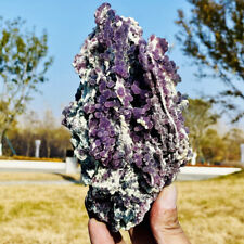 1.52LB Natural purple grape agate quartz crystal granular mineral specimen picture