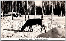 Greetings from Lac Du Flambeau, Northwoods Deer, RPPC, Wisconsin - Postcard picture