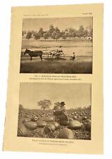 1901 Pumpkin & Blue Grass Farming Photo Print 9” X 5.5” Man Hugging Pumpkin. picture
