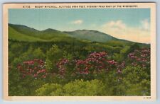 Mount Mitchell Highest Peak East of the Mississippi Appalachians Postcard picture