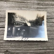 1939 Yellowstone Park Bear Photo Looking In Old Time Car Original Photograph Vtg picture