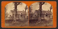 Photo:Stereographs of George Washington's homestead,Mount Vernon,Virginia picture