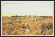Historic HARVEST SCENE near HUNTINGTON INDIANA Farmhouse in Distance DB 1907-15 picture