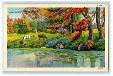 c1940's Indian Summer River Animals And Tress At Antigo Wisconsin WI Postcard picture