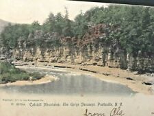 Postcard  Antique View of Gorge Devasego, Adirondacks in Prattsville,NY   U5 picture
