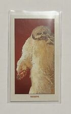 2022 Topps Star Wars 206 Wampa Base The Empire Strikes Back picture