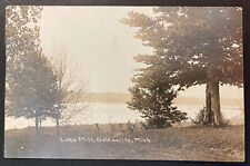 Lake Mill Gobleville Michigan RPPC 1919 C R Childs Chicago Publisher postcards picture
