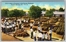 The Sponge Exchange Tarpon Springs Florida Vintage Postcard 1940 picture