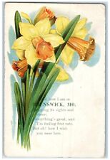 1910 Embossed Tell Here I am Brunswick Missouri Poetry Vintage Antique Postcard picture