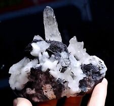 483g Natural White Crystal Cluster & Flower Shape Specularite Mineral  Specimen picture