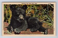 Good Hart MI-Michigan, General Greetings, Black Bear, Antique Vintage Postcard picture