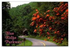 Vintage 1990s - The Blue Ridge Parkway, Virginia Postcard (UnPosted) picture