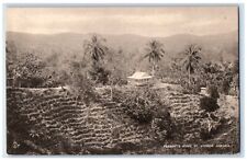 c1910 Pleasants Home Coconut Terraces St Andrew Jamaica JAM Jamaica Postcard picture