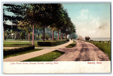 1907 Lake Front Drive Grosse Pointe Looking East Detroit Michigan MI Postcard picture