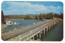 Yellowstone National Park River Fishing Bridge Vintage Postcard  picture