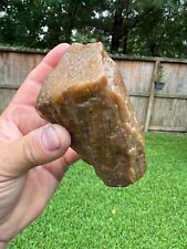 Texas Petrified Palm Wood 4x2x2 Translucent Cabochon Jewelry Grade Gem Material picture