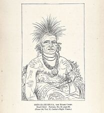 1885 Pawnee Head Chief Engraving Horse Chief G. Catlin Native American picture