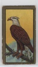1910 ATC Bird Series T42 Mecca Factory 649 American Eagle 0l4h picture