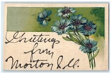 c1910 Greetings From Morton Illinois IL Glitter Flower Vintage Antique Postcard picture