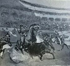1883 Bull Fighting Matadors illustrated picture