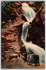 Postcard Lower Three Of The Seven Falls, Colorado Springs, Colorado Posted 1949 picture
