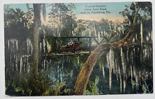 Postcard FL Tropical Scenery Along Auto Road Near St. Petersburg, Florida Unused picture