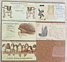 1900's Antique Postcards Ancienne Carte Postale Lot Of 5 Comic Funny 1903-1905 picture