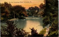 ON THE CONESTOGA RIVER Lancaster PA Postcard DB Birds Eye View 1908 picture