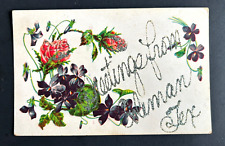 Old Postcard Greetings Coleman Texas TX Flowers Roses Iris Early 1900's glitter picture