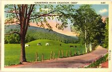 Greetings from Chardon Ohio Linen Postcard 1930s picture