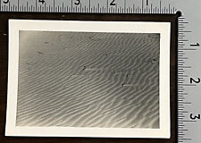 DRIFTING SHIFTING SANDS OF OAM RANCH BAY 4.5 x 3.5 INCH PHOTOGRAPH picture