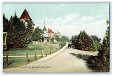 Mackinac Island Michigan MI Postcard Chicago Avenue View Rotograph Antique picture