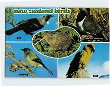 Postcard New Zealand Birds, New Zealand picture