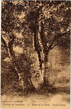 CPA Env. de MONTPELLIER - Bords de la Mosson - Etude d'arbres (510445) picture