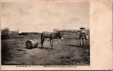 Postcard Texas TX Brownsville Hauling Water in Keg 1907 picture