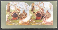 c1900s TW Ingersoll Stereograph #489 Want Some Supper Bob? Hunting Dog picture