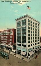 Circa 1910 New Hanselman Building Burdick Hotel, Kalamazoo, Michigan Vintage P12 picture