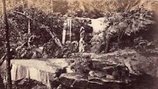 AUSTRALIA QUEENSLAND CDV superb waterfall/bush scene 1870 photographer unknown picture
