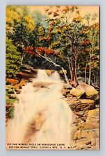 Catskill Mountains NY- New York, Winkle Falls Horseshoe Curve, Vintage Postcard picture