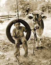 1930 Boy on Tire Swing with a Cow Old Historic Vintage Photo 8.5