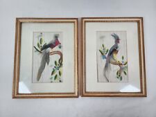 Pair of Vintage Feather Craft Bird Art Feathers & Hand Painted MCM picture