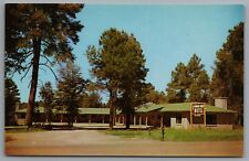 Payson AZ Diamond Dart Motel c1958 Chrome Postcard picture