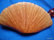 NOS large 360* Straight-Grain Fan BRIAR PIPE Plateau top ITALY *131g* unsmoked picture