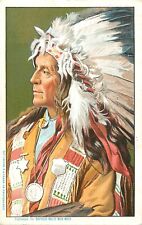 c1905 Chief Iron Tail of the Buffalo Bill Wild West Show Postcard picture