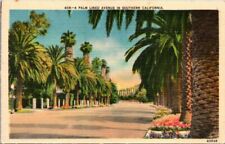 Poatcard A Palm Lined Avenue In Southern California Linen picture