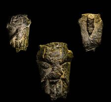 RARE Bust of Canaanite Demon Ba'aal Baal Terrifying Expressions Antiquity w/COA picture
