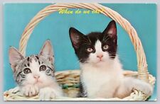 Postcard When do we eat? Kittens Cats picture